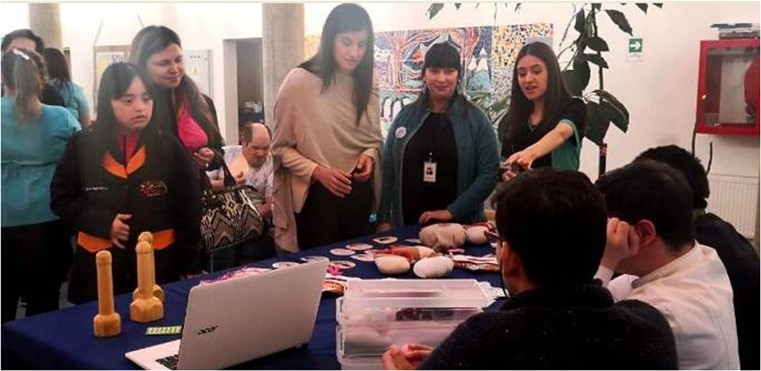 La Feria de Salud Inclusiva se pudo concretar gracias a la adjudicación del Fondo Nacional de Proyectos Inclusivos 2018 del Servicio Nacional de Discapacidad.
