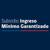 Descargar Informes del Ingreso Mínimo Garantizado 2020