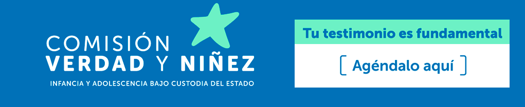 Comisión Verdad y Niñez 