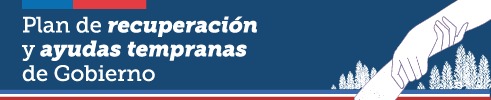 Plan de recuperacion y ayudas tempranas de gobierno