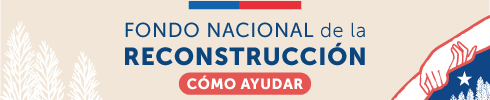 Fondo Nacional de la Reconstrucción