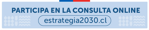 Participa en la consulta Estrategia2030