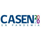 Encuesta Casen en Pandemia2020