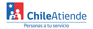 Ingresa al portal Chile Atiende. 