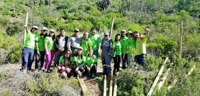 Las postulaciones para los trabajos voluntarios de verano ya están abiertas en www.injuv.gob.cl . Los jóvenes de la Región de Coquimbo irán al Parque Nacional Tolhuaca en la Araucanía.