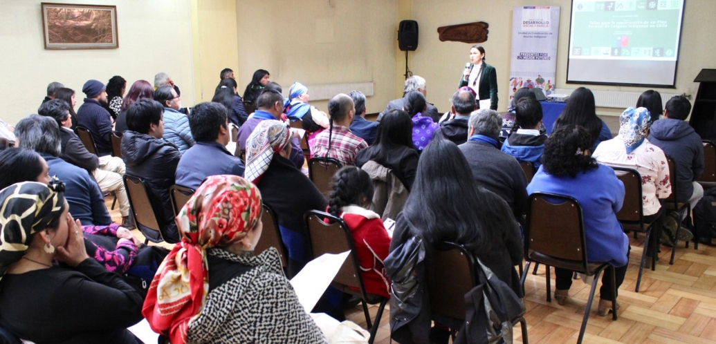 El taller es parte de un proceso participativo nacional amplio, donde los pueblos indígenas entregan sus diversas visiones, necesidades y preocupaciones de cara a la elaboración de este plan de revitalización lingüística.