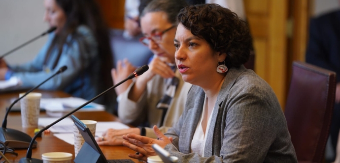 Reforma al Sistema de Adopción en Chile