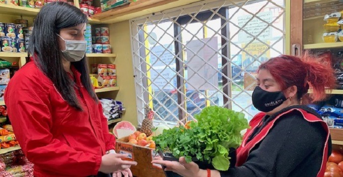 Ocho establecimientos comerciales del barrio 18 de Septiembre de Punta Arenas fueron escogidos para recibir material del Elige Vivir Sano, con el objetivo de promover la alimentación saludable. 