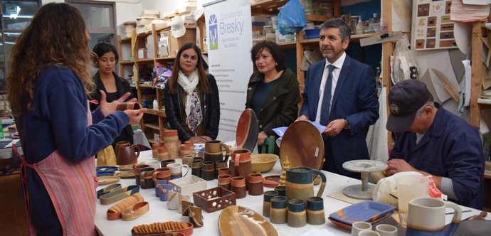 Durante 2017 se aprobaron seis iniciativas que significaron un aporte superior a los 66 millones de pesos en la zona