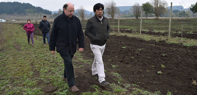 La iniciativa, que consiste en la plantación de más de 24,2 hectáreas de berries, es un proyecto impulsado por el empresario Juan Sutil.