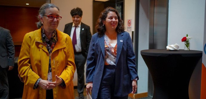 La instancia reunió a 230 comunas del país que ya cuentan con Oficinas Locales de la Niñez encargadas, a nivel comunal, de la promoción, protección, prevención de situaciones de riesgo y vulneraciones de los derechos de la niñez y adolescencia.