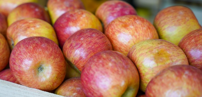 Una variación mensual de 1,0% registró la Canasta Básica de Alimentos durante agosto, alcanzando un valor de $65.370, según el informe que entrega mensualmente la Subsecretaría de Evaluación Social del Ministerio de Desarrollo Social y Familia.