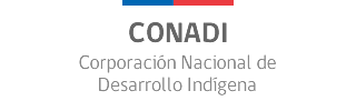 Acceder a sitio web CONADI