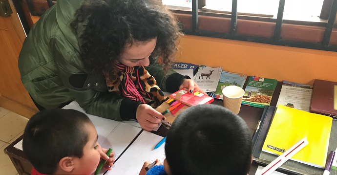 El plazo para postular en la presente convocatoria es hasta las 17:00 horas, del día 12 de Noviembre de 2020.