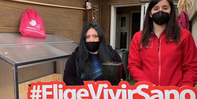 Los huertos contienen semillas de lechuga, cilantro y plantas de frutilla, con el objetivo de incentivar la producción sostenible de alimentos y disminuir la tasa de obesidad en Magallanes.